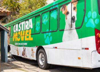 Gravataí avança para ter Castramóvel com atendimento veterinário gratuito