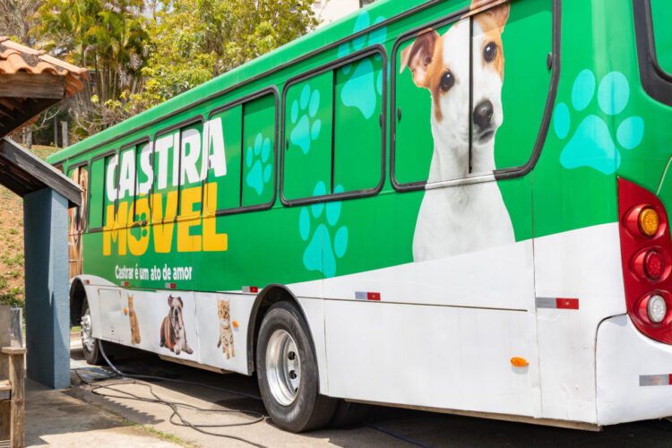 Gravataí avança para ter Castramóvel com atendimento veterinário gratuito