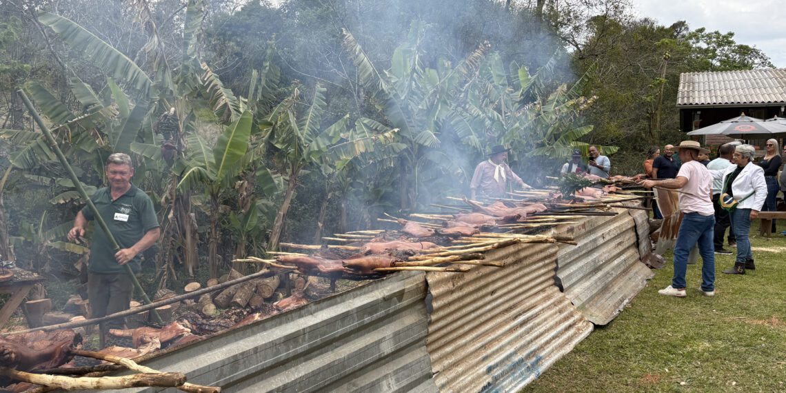 Evento tradicional na Santa Tecla, em Gravataí, Festa do Porco será realizada neste domingo