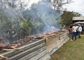 Evento tradicional na Santa Tecla, em Gravataí, Festa do Porco será realizada neste domingo