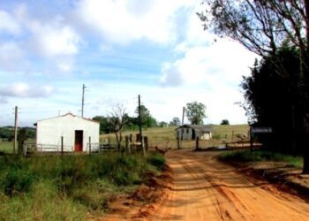 Associação de Preservação da Natureza do Vale de Gravataí conclui etapa de programa que beneficia quilombos do RS